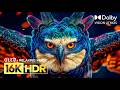 Unstoppable Dolby Vision HDR | 16K Video ULTRA HD 240fps | Stress Relief Music (8K/4K TV)