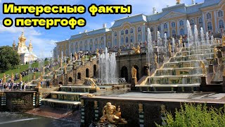 ✔️ИНТЕРЕСНЫЕ ФАКТЫ О ПЕТЕРГОФЕ.