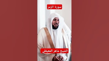 تلاوة في قمة الخشوع من الشيخ ماهر المعيقلي ❤️ #ماهر_المعيقلي