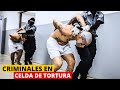 ¿CRIMINALES EN CELDAS DE TORTURA? NAYIB BUKELE VS CRIMINALES