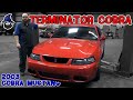 Terminator Cobra Mustang slithers into the CAR WIZARD's shop