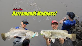 Barramundi Madness! - Pulau Ubin Fishing