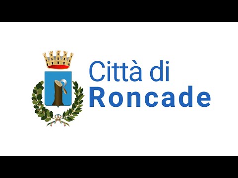 Consiglio Comunale di