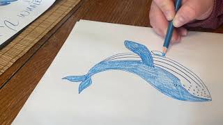 How to Draw a Humpback Whale!