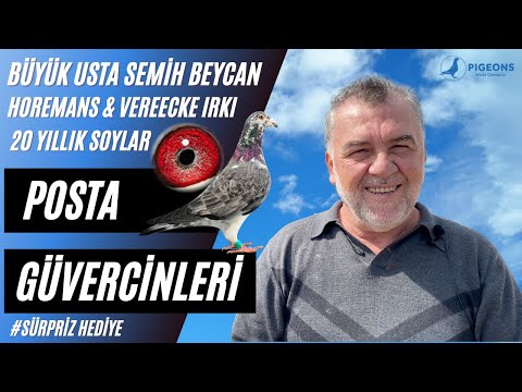 Posta Güvercin Belgeseli Horemans & Vereecke Maraton Yarış Güvercinleri Semih Beycan II