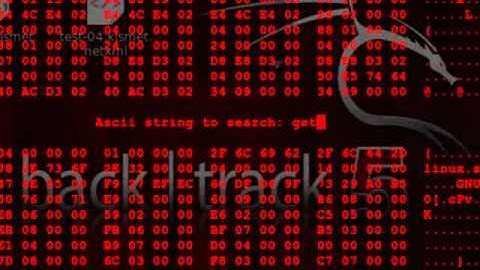 how to run chrome-browser as root in backtrack 5 !