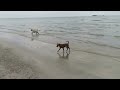 HAV 動画写真15c