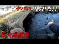ヤバいの釣れたヤバいの釣れたヤバいの釣れた!!