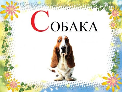 Слово "СОБАКА"  откуда?