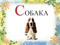 Слово &quot;СОБАКА&quot;  откуда?