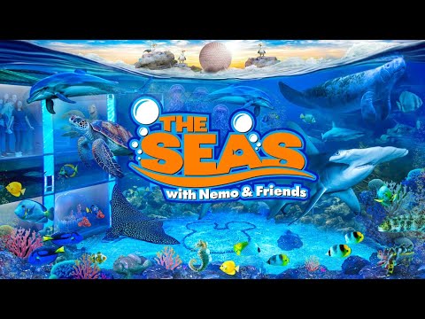 Zoo Tours: The Seas with Nemo & Friends | EPCOT (FULL TOUR)