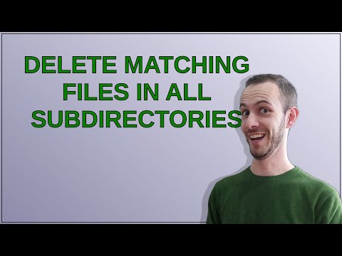 Delete matching files in all subdirectories