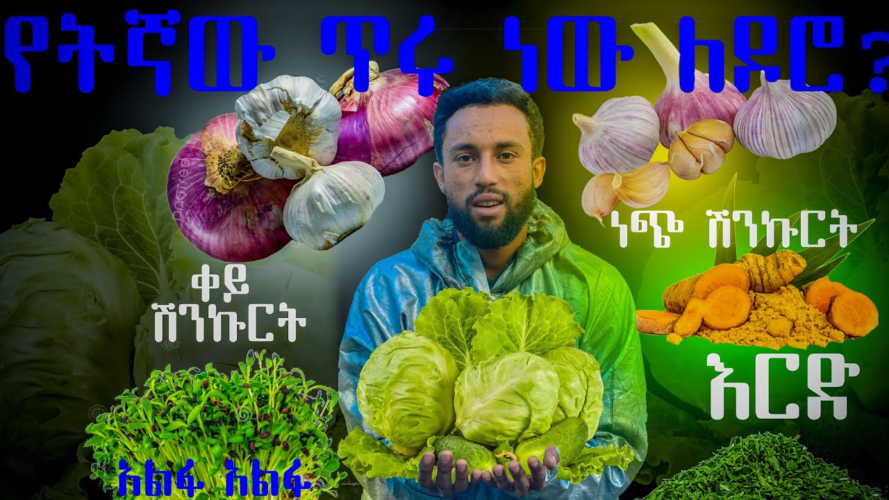 በቤት ውስጥ በቀላሉ የሚዘጋጅ የዶሮ መድኃኒት