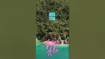 Big Ace - Wing Span (Official Visualization)