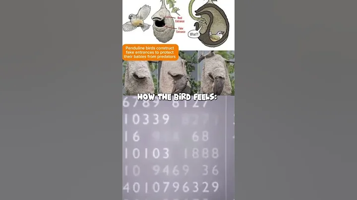 Please Don’t Click the Sound 🤣