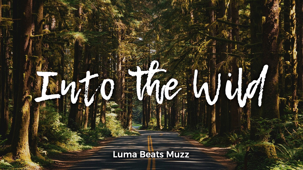 Into the Wild | Cozy Acoustic Indie Folk