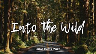 Into The Wild  Cozy Acoustic Indie Folk