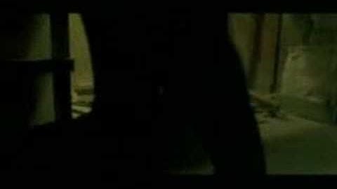 Matrix Video - CellDweller