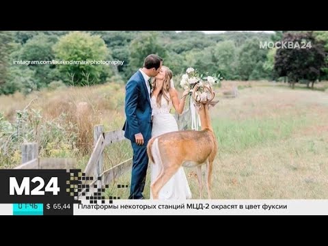 Смотреть фото Актуальные новости мира за 11 сентября - Москва 24 новости россия москва Смотреть фото Актуальные новости мира за 11 сентября - Москва 24 новости россия москва
