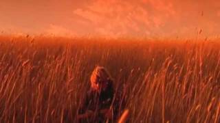 Video thumbnail of "Xavier Rudd - Shelter (official film clip)"