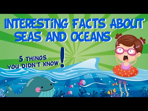 Video: A Few Facts About The Largest Ocean Liner Of Our Time