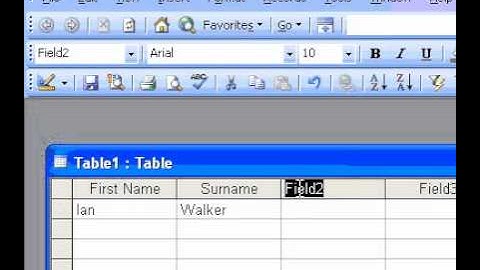 Microsoft Office Access 2003 Create a table by entering data in a datasheet