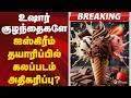 #BREAKING: உஷார் குழந்தைகளே.. ஐஸ்கிரீம் தயாரிப்பில் கலப்படம் அதிகரிப்பு?
