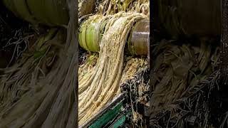 Amazing Process Banana Fiber Factory #factoryprocess #bananafiber #shorts