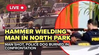 San Diego police shoot at hammer-wielding man after he set police dog on fire