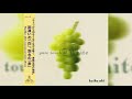 Aki Koike (小池映) - Pure Touch Of White (Full Album, 1997, Japanese R&amp;B/City Pop)