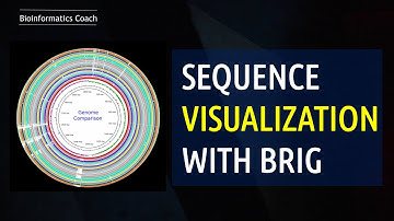 Genome Comparison and Visualization with BRIG Software |  Bioinformatics Beginner Level