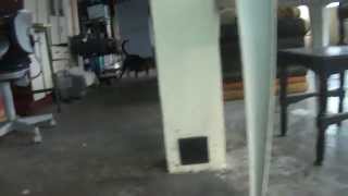 Laika E Eu Brincando