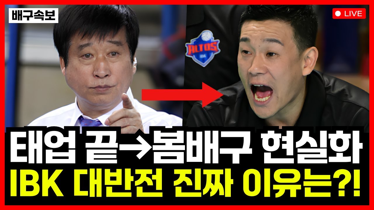 여자배구 IBK기업은행 역대급 대반전..!! 김호철 사퇴 이후 완전히 달라졌다! 태업 논란 사라진 이유는?