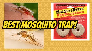 Best Mosquito Trap Ever! DIY Homemade Trap that WORKS! Get Rid of those Pests and Gnats Now!