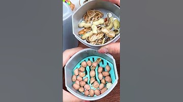 Nut shelling process- Good tools and machinery can quickly improve work efficiency