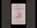 Stomach Anatomy Explained | Structure, Parts, Functions & Blood Supply | BSc Nursing Anatomy#anatomy
