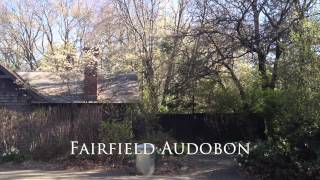 Fairfield, CT - Audobon