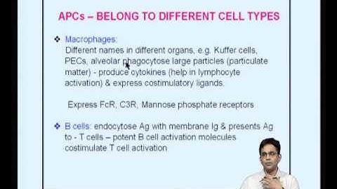 Mod-11 Lec-24 The Major Histocompatibility Complex: MHC class II pathway