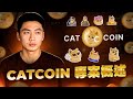 Сatcoinプロジェクト概要