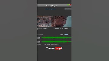 Free Video Converter App