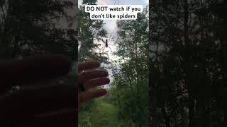 DO NOT watch if you are scared of spiders | shorts explore outdoorshoes  adventure explore