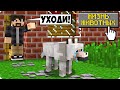 🐶ЖИВОТНЫХ ВЫГНАЛИ ИЗ ДОМА В МАЙНКРАФТ! ЖИЗНЬ ЖИВОТНЫХ ШЕДИ ЛЕСКА И НУБИК СОБАКУ ТРОЛЛИНГ MINECRAFT