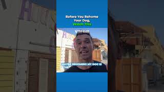 Thinking Of Rehoming? Watch This Before You Rehome Your Dog!