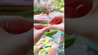 Handmade diy pipe cleaner tulips flower #handmade #diy #craft #flower #diyflowers #pipecleaner #gift