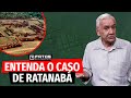 O que os cientistas descobriram até agora sobre Ratanabá, a cidade escondida na Amazônia