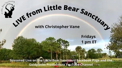 Live from Little Bear Sanctuary  Special Guest Lau...