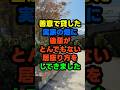 善意で貸した実家の畑に、後輩が居座った話