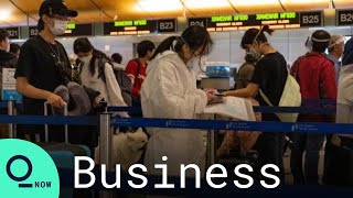 Airline Lobby IATA Building a Covid ‘Travel Pass’ to Spur Flights screenshot 4