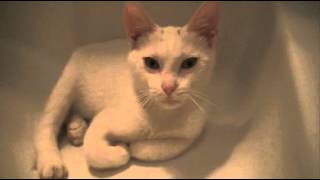 Maya Aphex At 3 Months