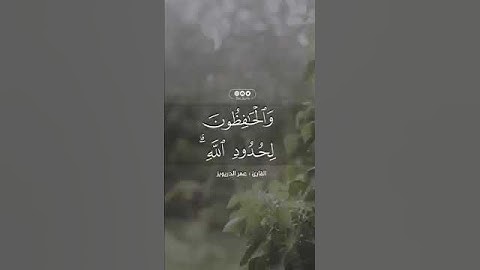 تلاوة جميلة ماشاء الله تبارك الله   القران الكريم
